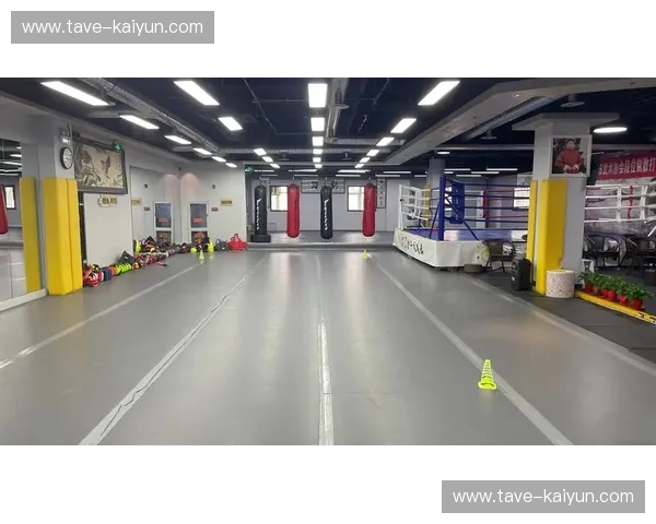 搏击比分——激情与洞察的终极赛场 搏击比分——激情与洞察的终极赛场